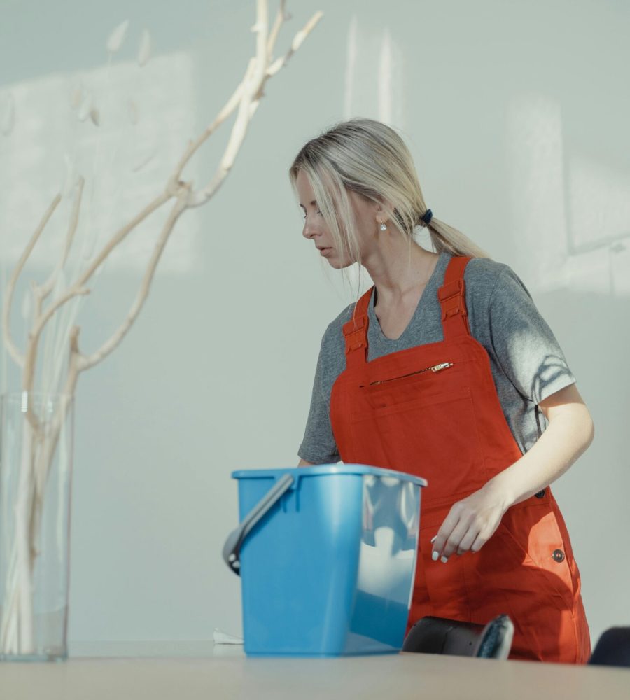 Professional house cleaning services in Newberg and McMinnville Oregon